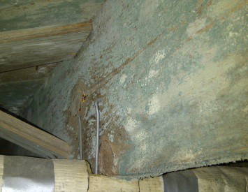 Crawl Space Mold Remediation What Are The Options