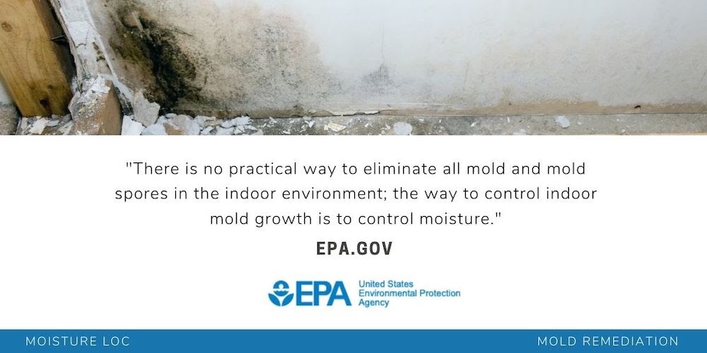 MoldRemediation-EPA | Moisture Loc