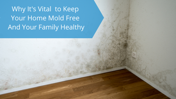 why-its-vital-to-keep-your-home-mold-free-and-your-family-healthy