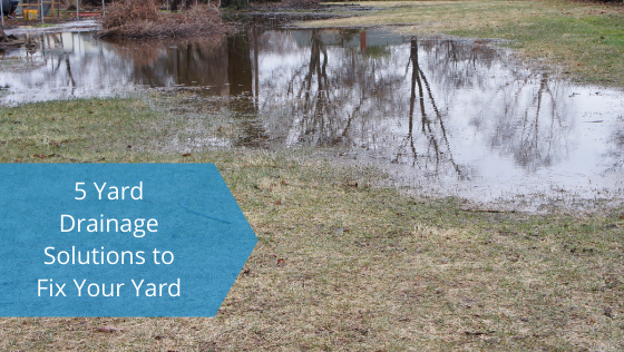 5 Yard Drainage Solutions to Fix Your Yard - 5 YarD Drainage Solutions To Fix Your YarD