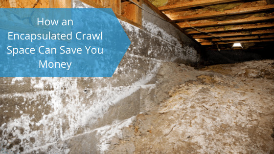 encapsulated crawl space