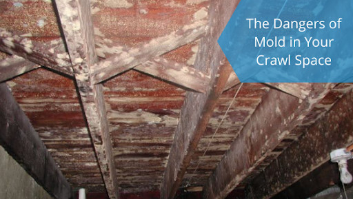 crawl space mold removal