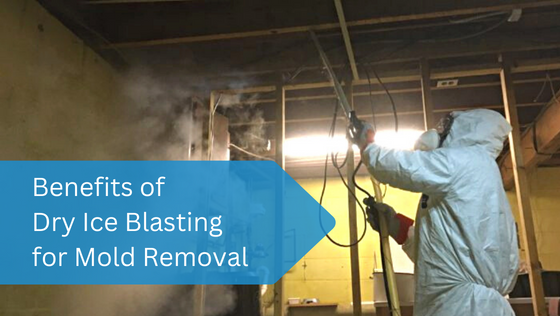 Dry Ice Blasting for Mold Removal