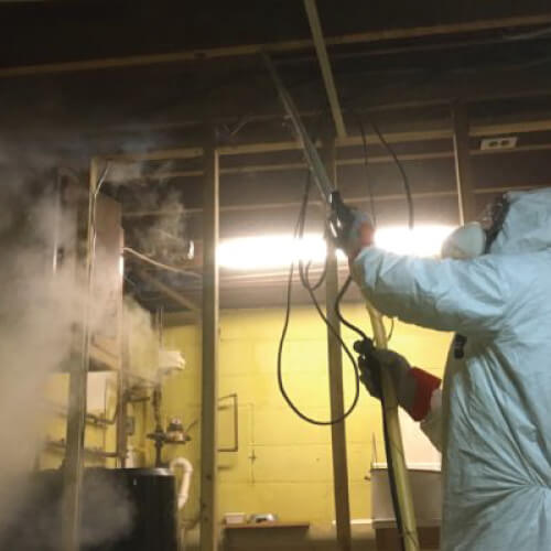 A basement mold removal professional repairs and removes toxigenic mold.