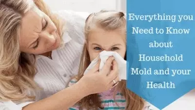 everything you need to know about household mold