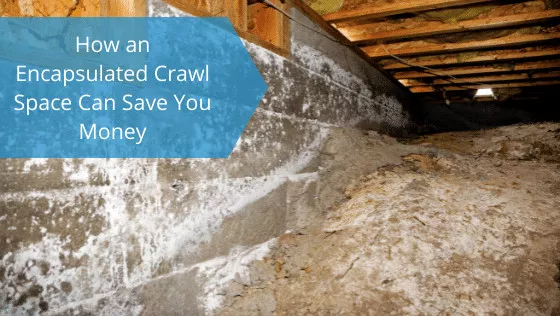 How an Encapsulated Crawl Space Can Save You Money
