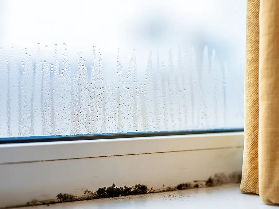 High indoor humidity causing condensation on windows