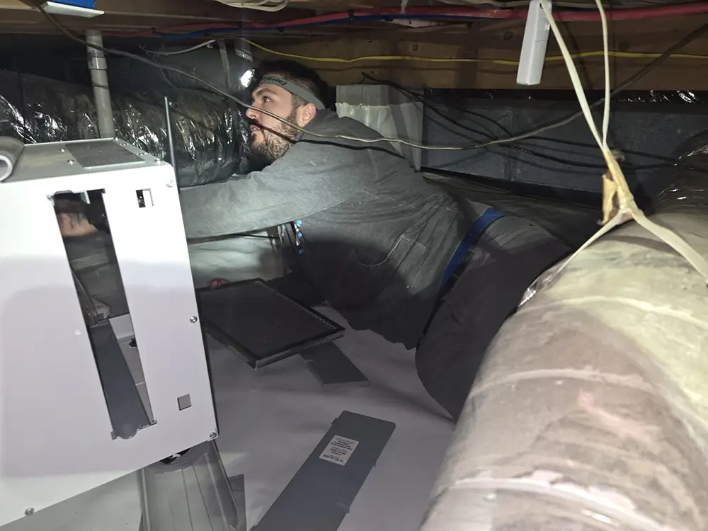 Annual Maintenance Plan