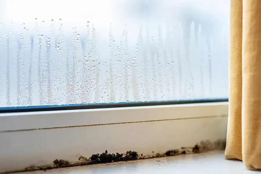 High Indoor Humidity