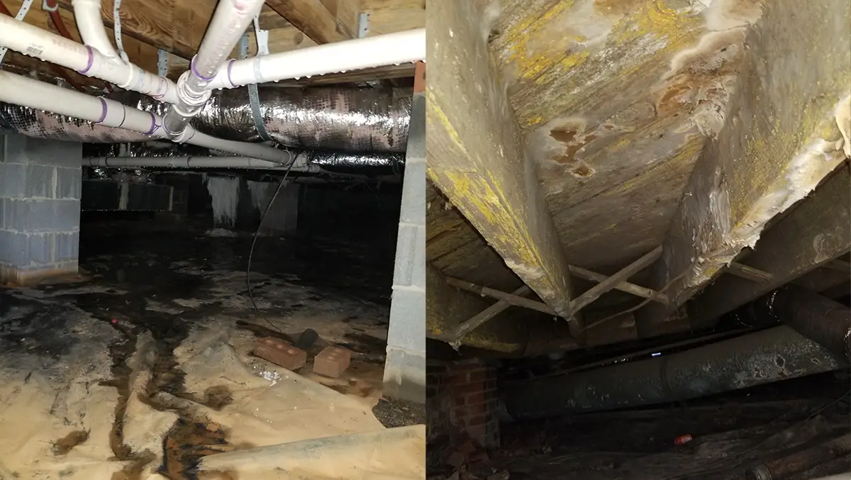 Musty Crawl Space Smells